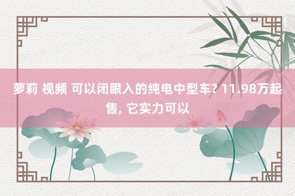 萝莉 视频 可以闭眼入的纯电中型车? 11.98万起售， 它实力可以