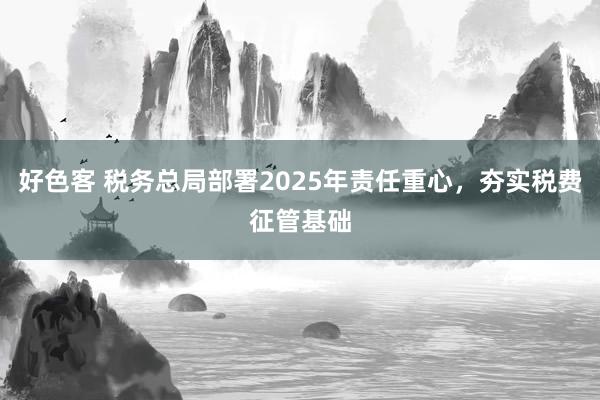 好色客 税务总局部署2025年责任重心，夯实税费征管基础