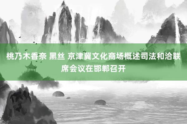 桃乃木香奈 黑丝 京津冀文化商场概述司法和洽联席会议在邯郸召开