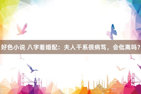 好色小说 八字看婚配：夫人干系很病笃，会仳离吗？