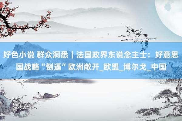 好色小说 群众洞悉｜法国政界东说念主士：好意思国战略“倒逼”欧洲敞开_欧盟_博尔戈_中国