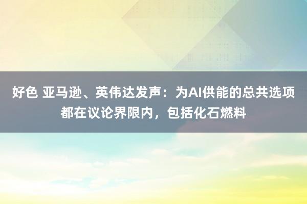 好色 亚马逊、英伟达发声：为AI供能的总共选项都在议论界限内，包括化石燃料