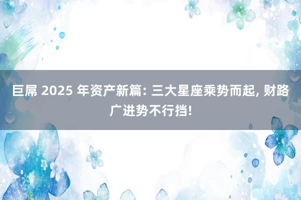 巨屌 2025 年资产新篇: 三大星座乘势而起， 财路广进势不行挡!