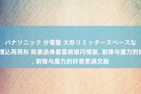 パナソニック 分電盤 大形リミッタースペースなし 露出・半埋込両用形 陈紫函身着露肩银闪慑服， 前锋与魔力的好意思满交融